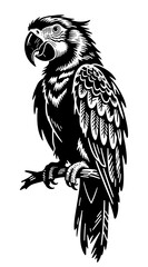 Fototapeta premium Detailed black and white macaw parrot perched on branch. Striking tropical vector illustration perfect for tattoos, logos, and wildlife designs