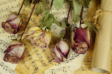 Bouquet of dried pink roses lies on an old sheet music   on a black table,  memories, vintage...