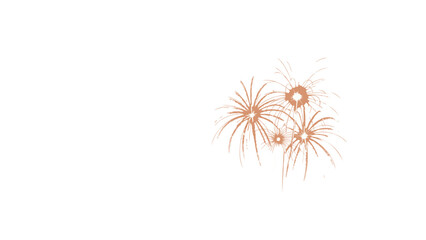 Obraz premium Bright orange and red fireworks bursting in a clear white sky creating a festive and celebratory atmosphere