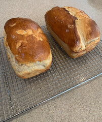 NC Hville Fresh Baked Bread Vertical 2025