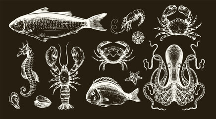 Fish sea vector isolated illustration with crab octopus seahorse shrimp lobster and starfish