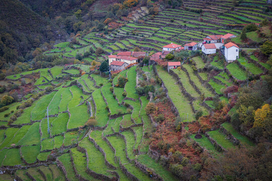 Terraced Landscape of Sistelo Village in Arcos de Valdevez, Alto Minho, Northern Portugal. The terraced fields were built through centuries for agriculture in mountain slopes.