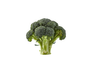 Isolated green broccoli floret on black background