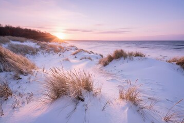 Wydmy nad morzem - Kołobrzeg zimą  ( wizualizacja)