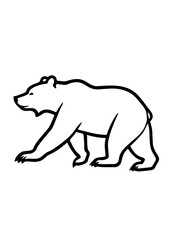 polar bear vector