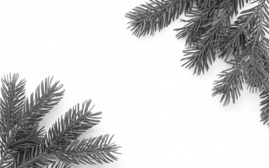Obraz premium Black and white close up of pine tree branches against a white background needle, halftone.