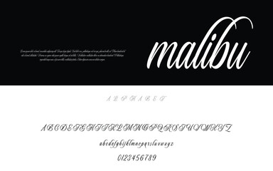 Malibu Modern Script Typeface EPS Vector