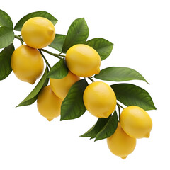 Lemon on a branch with green leaves