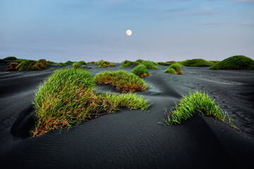 Lush green grass peeks through black sands under a glowing moon, creating a tranquil atmosphere at twilight. Location place Vestrahorn, Iceland, Europe.