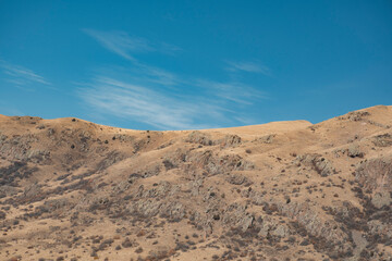 sand dunes in death valley california