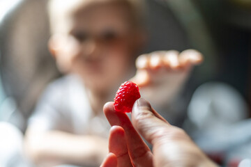 Close-up of a child's hand reaching out eagerly to grasp a freshly picked raspberry held by an adult, capturing a moment of connection, curiosity, and healthy eating.
