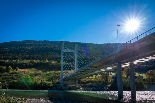 Cable-stayed bridge surrounded by dense forest in Norwegian mountain landscape