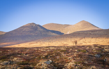Panoramic view of Rondslottet and Storronden peaks in Rondane National Park Norway