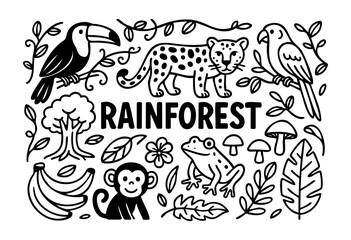 Fototapeta premium Rainforest doodle illustration — toucan, jaguar, and other tropical jungle animals and plants — stock vector.