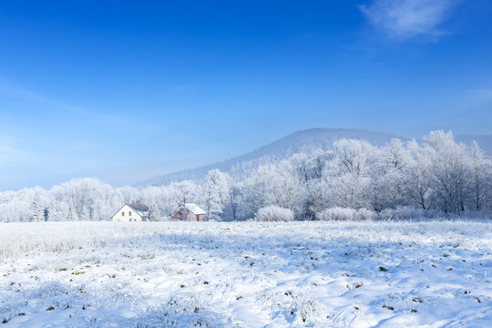 Frosty winter landscape among white, frosted trees against the backdrop of the Beskid Mountains, a natural wallpaper or background with a nature motif