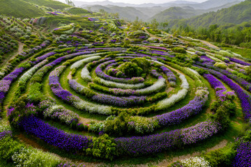 Spiral flower garden in a scenic mountain landscape