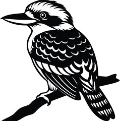 Kookaburra silhouette vector perched on branch with large head shape