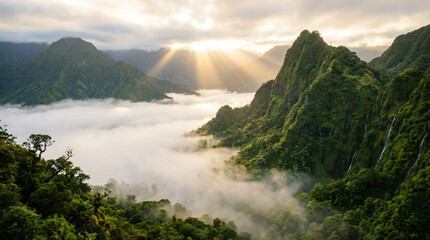 Breathtaking aerial view of lush green mountain peaks rising above a misty valley filled with thick white fog during a serene sunrise in a tropical forest.