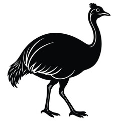 Cassowary silhouette vector walking with distinctive head casque