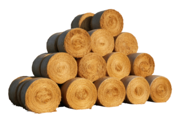 A large stack of golden round hay bales, neatly piled in a pyramidal formation, against a solid transparent background, representing agricultural harvest. background removed