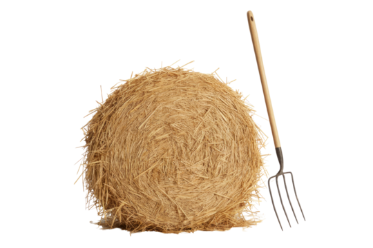 A large round bale of dry hay or straw stands next to a wooden-handled pitchfork, depicting farm life and harvest. background removed