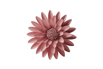 A beautiful 3D rendered flower with numerous pink petals and a granular center, set against a solid transparent background, exuding elegance. background removed
