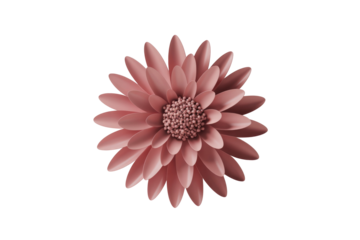 A beautiful 3D rendered flower with numerous pink petals and a granular center, set against a solid transparent background, exuding elegance. background removed