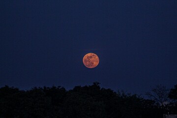 Red Moon Rising in Dark Blue Twilight Sky