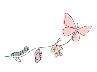 Sketched, single-line drawing. Vector illustration of the life cycle of a butterfly's birth. Transformation of a caterpillar into a butterfly. Flat line vector isolated on white background.