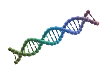 A vibrant, 3D rendered DNA double helix structure, showcasing a colorful gradient of genetic material. Ideal for biology, science, and medical designs. background removed