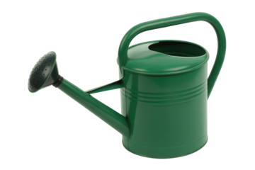 A vibrant green metal watering can, complete with a perforated rose head and ergonomic handle, sits ready for garden irrigation tasks. background removed