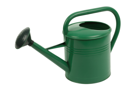 A vibrant green metal watering can, complete with a perforated rose head and ergonomic handle, sits ready for garden irrigation tasks. background removed