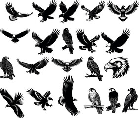 Eagle silhouettes vector set with birds sitting and flying in different positions art