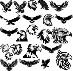 Collection of eagle silhouettes predatory raptor falcon isolated vector illustration