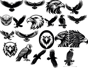 Eagle silhouettes collection predatory falcon hawk isolated vector illustration