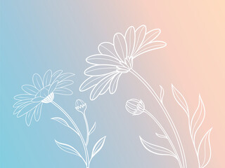 Delicate white line art drawing of daisy flowers and buds against a soft pastel gradient background of blue and pink