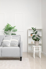 Interior of light living room with grey sofa, plants and shelf unit