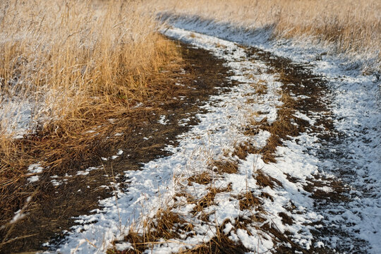 Snow-covered dirt road among rural fields in late autumn or early winter seasonal landscape. dry grass in snow on side of winding road. Fallen first snow. Winter season path concept.