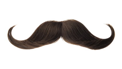 Brown curly mustache on transparent background isolated on a transparent background