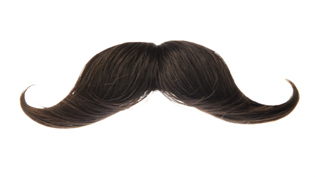 Dark brown curly mustache isolated on transparent background isolated on a transparent background