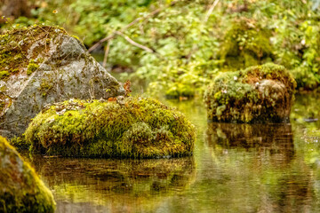 Autumn Colors in Daisetsuzan National Park in Hokkaido, Japan