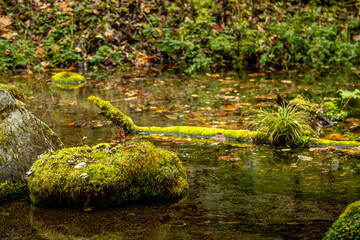 Autumn Colors in Daisetsuzan National Park in Hokkaido, Japan