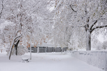 Parc avec banc et arbres enneigés, jour, extérieur, horizontal
