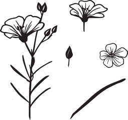 Black and White Botanical Sketch Illustration of Perennial Flax Flower