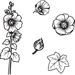 Black and White Botanical Sketch Illustration of Hollyhock Flower