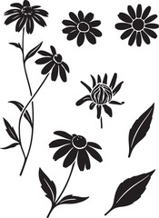 Black and White Botanical Sketch Illustration of Black-Eyed Susan Flower