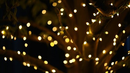 Blurred, branch, lights, soft, glowing, tree, bokeh, nature, evening, abstract, background, dreamy, warm, delicate, serene, peaceful, subtle, atmosphere, twilight, garden, gentle, luminous, magical, c