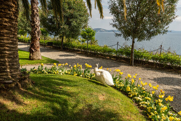 View of Isola Madre beautiful botanical gardens, located at Lake Maggiore, Piedmont, Italy