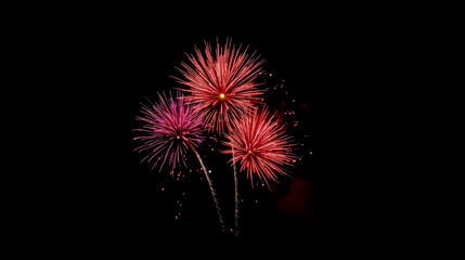 Fototapeta premium Three fireworks with different colors against a dark background