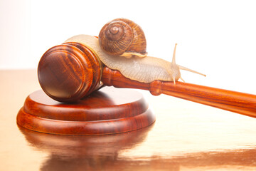 Snail and hammer of justice. The concept of slow adoption of laws and judicial decision. law and law in society